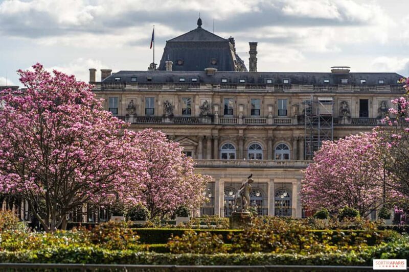 Paris: Pre-Haussmannian Paris Walking Tour (Old Paris) - An In-Depth Look at the Experience