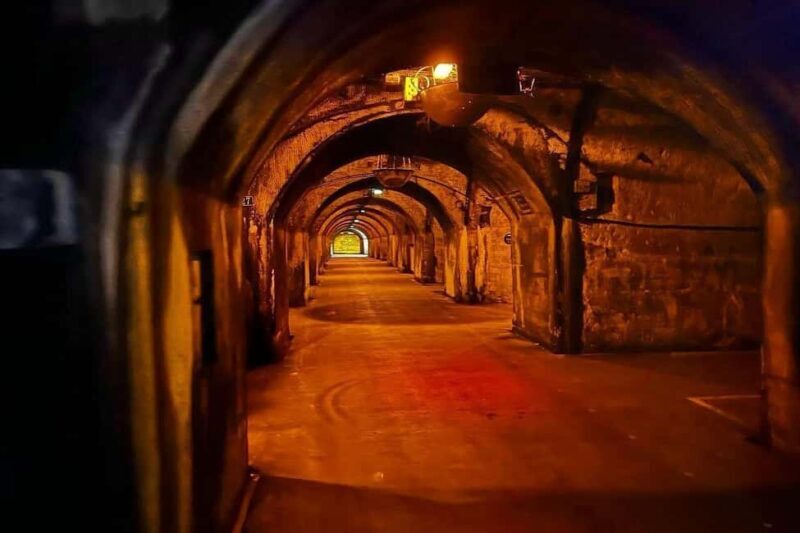 Paris: Private Champagne Tour  Picnic & Tasting + Gift - Analyzing the Value and Practicalities
