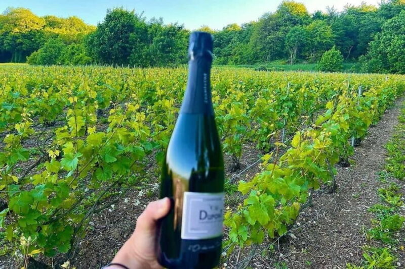Paris: Private Champagne Tour  Picnic & Tasting + Gift - The Sum Up