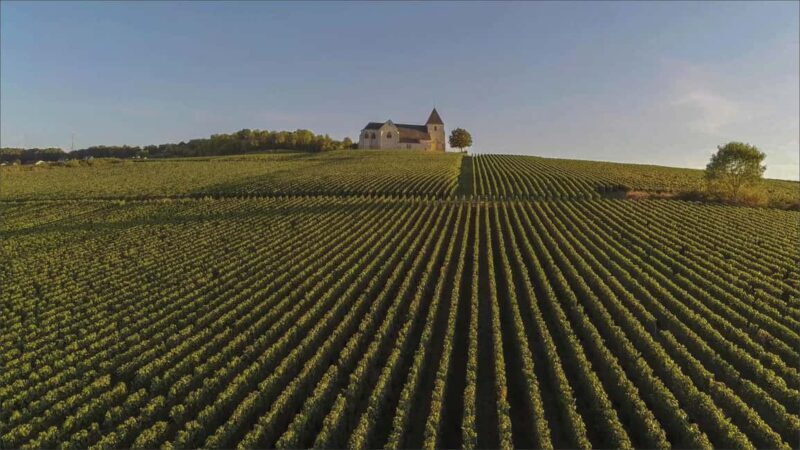 Paris: Private Chauffeur-Driven Champagne Region Day Trip - Practical Considerations: Value and Pricing