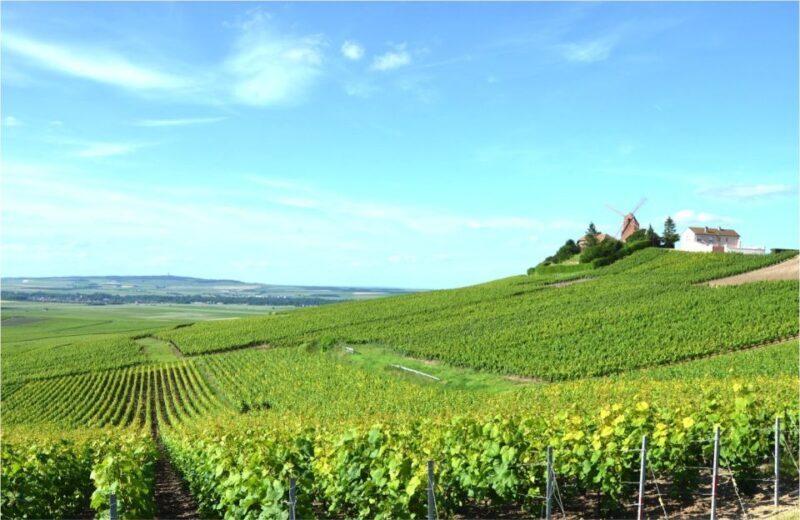 Paris: Private Day Trip to Champagne with 8 Tastings & Lunch - Who Should Consider This Tour?