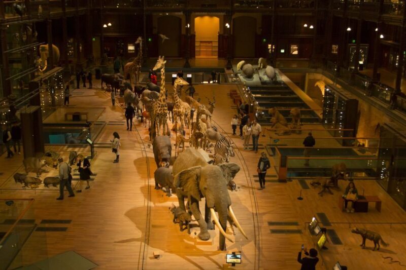 Paris: Private Family Tour, Highlights and Museum Visit - Final thoughts