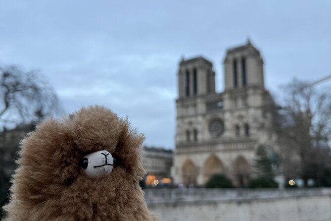 Paris Private Guided Walking Tour with Notre-Dame Outdoor - What Makes This Tour Stand Out