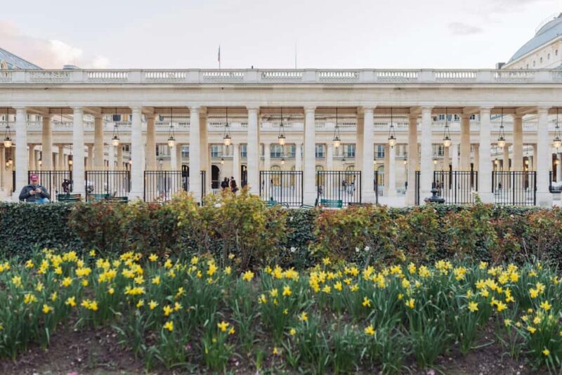 Paris: Royal Palais, Tuileries and D'Orsay Tour - Who Will Love This Tour?