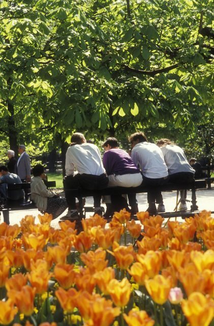 Paris Secret Gardens 1.30 hour long Walking Tour - FAQ
