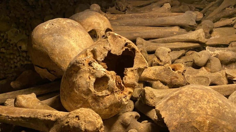 Paris: Small-Group Catacombs Tour with Skip-the-Line Entry - The Sum Up