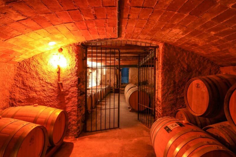 Paris: Two Reims Champagne Vineyards with Tastings and Lunch - Why Choose This Tour?
