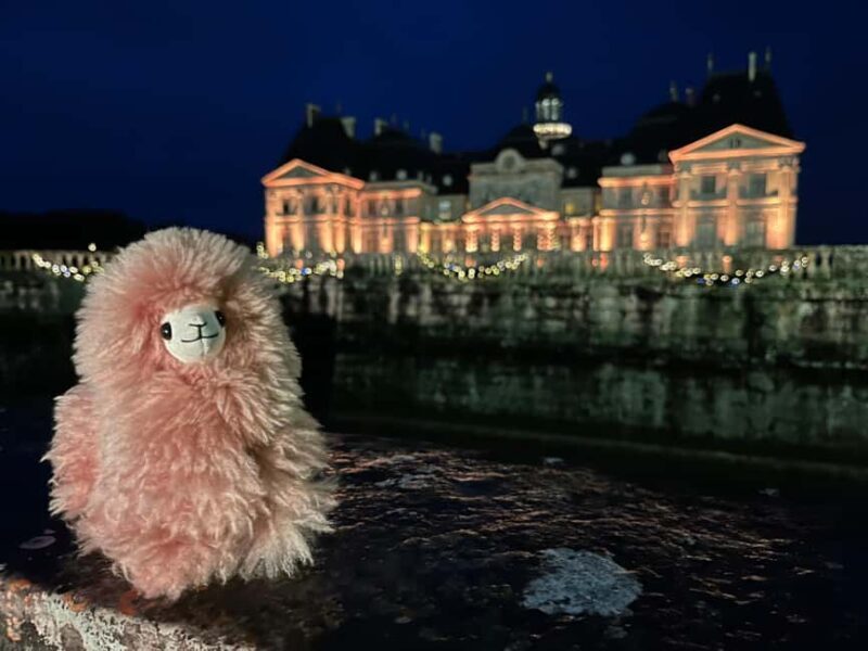 Paris: Vaux-le-Vicomte Private Guided Tour - Discovering the Charm of Vaux-le-Vicomte at Christmas: A Private Guided Day Trip from Paris