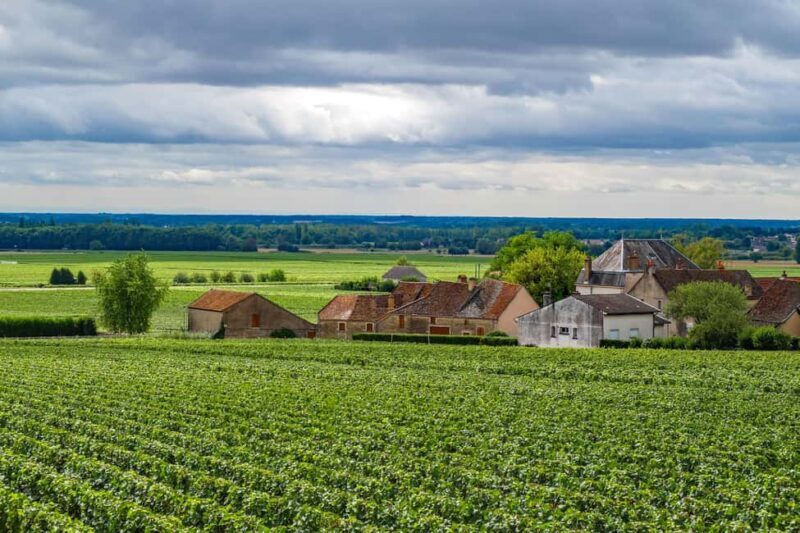 Paris VIP: Burgundy Wine Region Chauffeur Driven Tour 14 hrs - The Ultimate Day Trip to Burgundy: A Chauffeur-Driven Wine Adventure from Paris