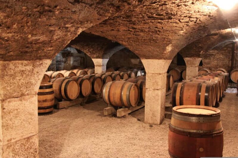 Paris VIP: Burgundy Wine Region Chauffeur Driven Tour 14 hrs - Key Points