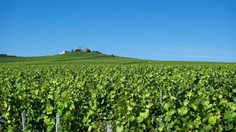 Paris VIP: Champagne Region Private Chauffeur Driven 12hrs - Who Will Love This Tour?