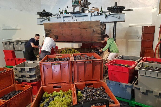 Paris Wine Day Tours exclusive Champagne tour incl. 3 visits - Exploring the Champagne Region from Paris: An In-Depth Review