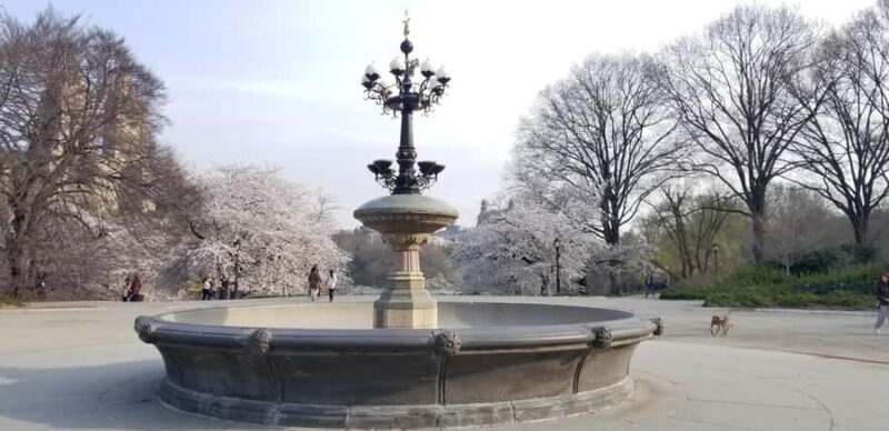 Parisian New York walking tour - Practical Details and Why They Matter