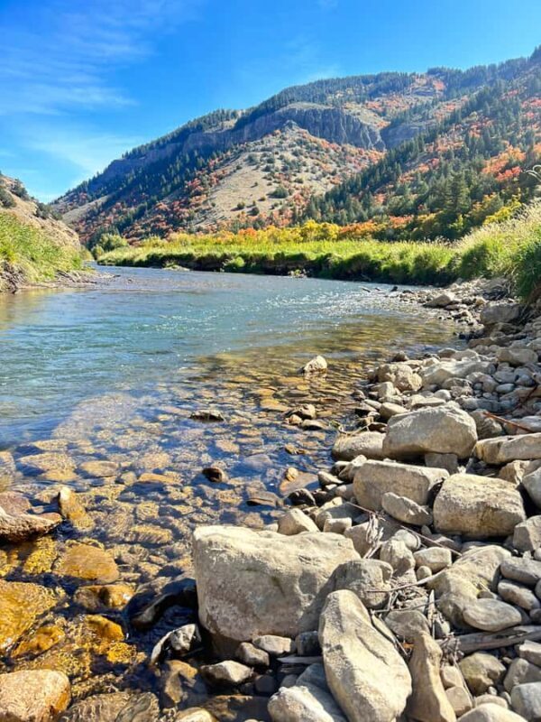 Park City: Guided Fly Fishing on Provo & Weber Rivers - An In-Depth Look at the Guided Fly Fishing Experience