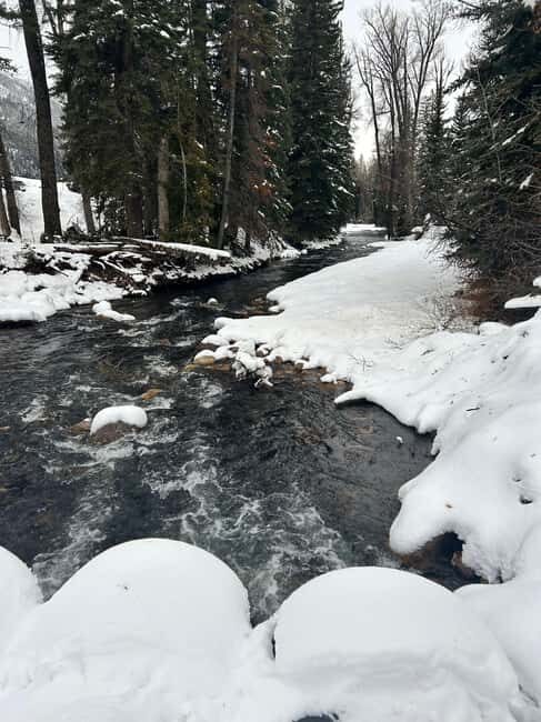 Park City: Guided Fly Fishing on Provo & Weber Rivers - The Sum Up: Who Should Sign Up?