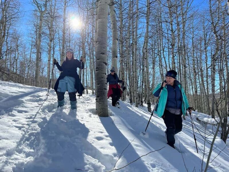 Park City: Private Group Snowshoeing Tour on Public Trails - Who Should Consider This Tour?