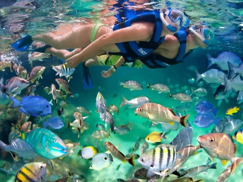 Park Package: Xcaret Plus, Xplor, and Xoximilco - Final Thoughts: Is It Worth It?
