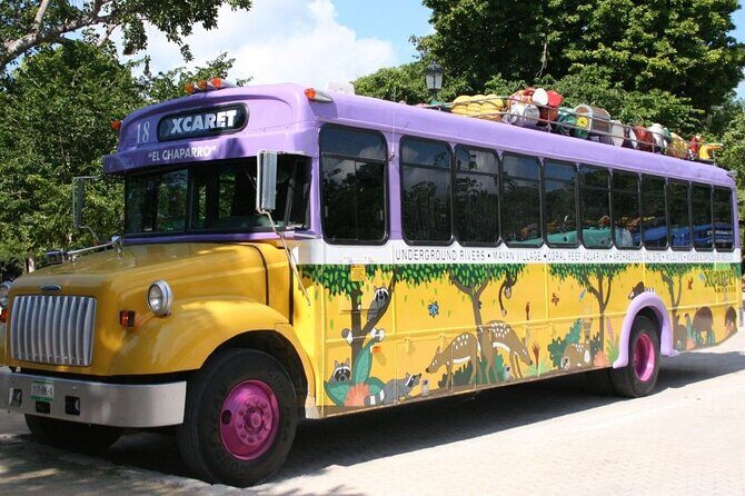 Park Xcaret Plus with Transportation from Cancun and Riviera Maya - Authentic Experiences and Real Traveler Feedback