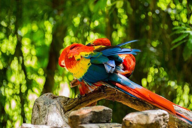 Park Xcaret Plus with Transportation from Cancun and Riviera Maya - Frequently Asked Questions