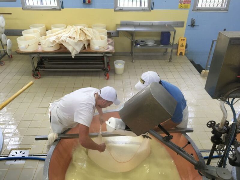 Parma: Parmigiano-Reggiano Tour and Tasting - Exploring the Parmigiano-Reggiano Farm Tour: What to Expect