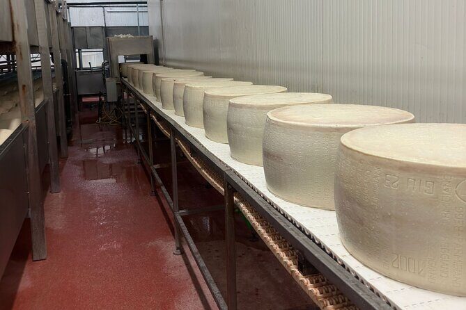 Parmesan and Balsamic Food Tour with Ferrari Museum - Frequently Asked Questions