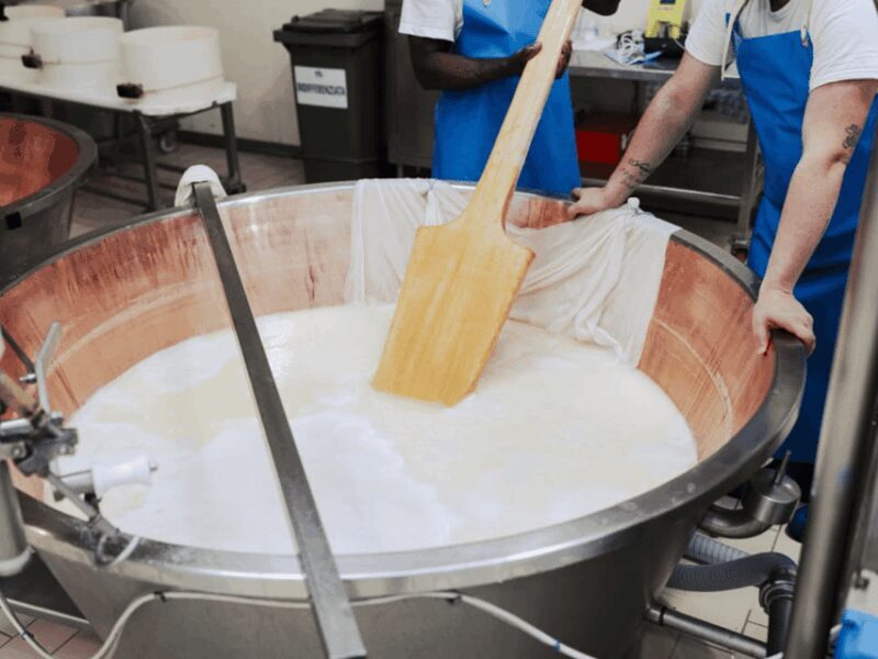 Parmesan Cheese Factory Tour & Tasting near Parma - Practical Tips for Your Visit