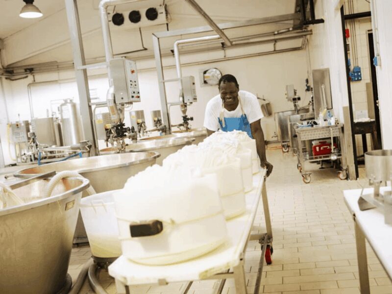 Parmesan Cheese Factory Tour & Tasting near Parma - The Sum Up: Is This the Right Tour for You?