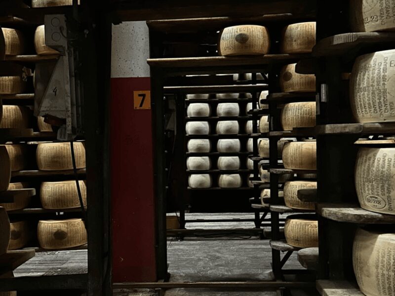 Parmesan Cheese Tour & Tasting close to Modena - Final Thoughts: Why You Should Consider This Tour