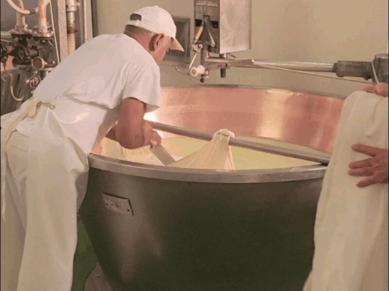 Parmesan Cheese Tour & Tasting close to Modena - FAQ