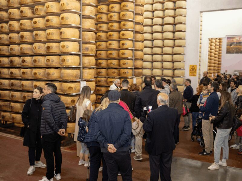 Parmesan Factory Tasting & Tour in Formigine, near Modena - A Deep Dive into the Parmesan Factory Tour