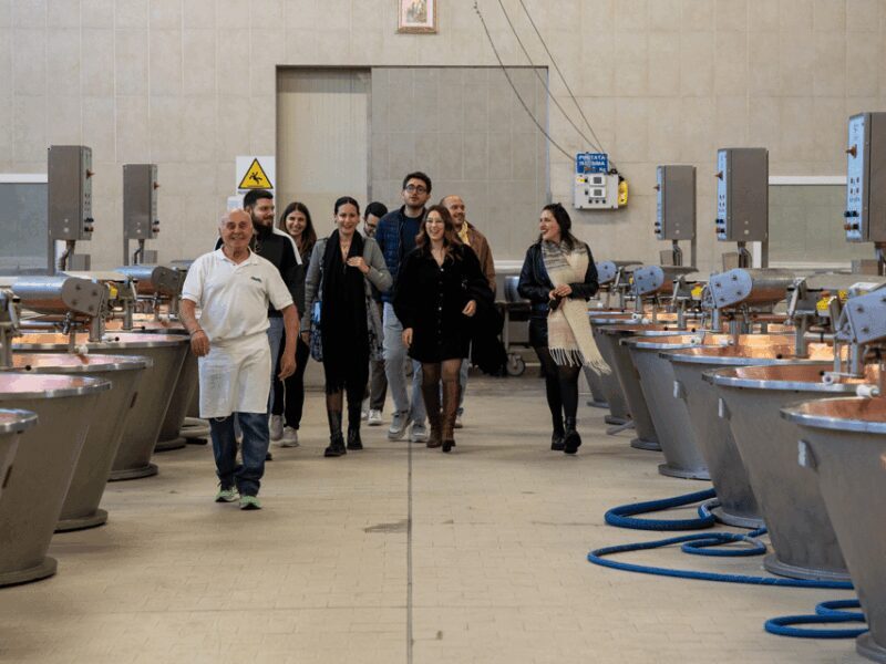 Parmesan Factory Tasting & Tour in Formigine, near Modena - The Sum Up