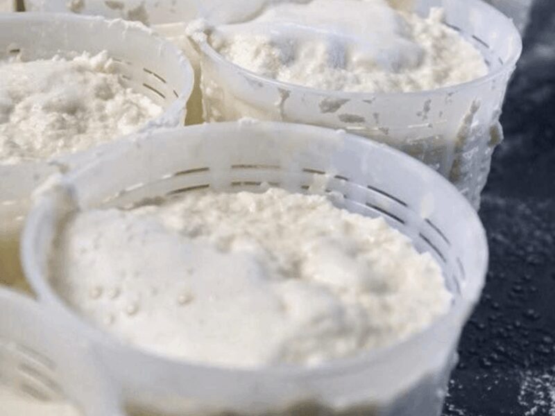 Parmesan Wheels near Parma: Tasting & Factory Tour - FAQ