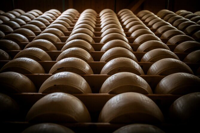 Parmigiano and Culatello Private Tour with Lunch and Farm Visit - Why This Tour Offers Great Value