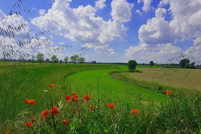 Parmigiano and Culatello Private Tour with Lunch and Farm Visit - FAQ