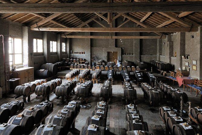 Parmigiano Reggiano & Aceto Balsamico Tradizionale - Who Should Consider This Tour?