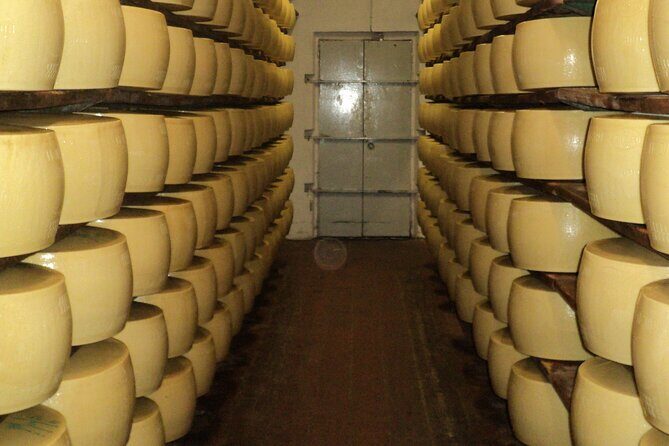 Parmigiano Reggiano and Parma ham tour - A Detailed Look at the Parmigiano Reggiano and Parma Ham Tour