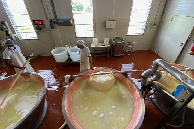 Parmigiano-Reggiano Cheese Factory Small group Tour From Parma - Final Thoughts