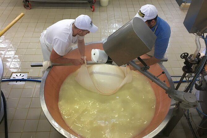 Parmigiano-Reggiano Tour and tastings - An In-Depth Look at the Parmigiano-Reggiano Tour