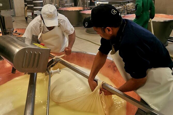 Parmigiano Wine and Balsamic Vinegar Experience from Bologna - An In-Depth Look at the Experience