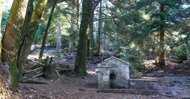 Parnitha (Parnis) / Skipiza & Mola loop - Hike near Athens - Exploring the Parnitha (Parnis) / Skipiza & Mola Loop: An In-Depth Look