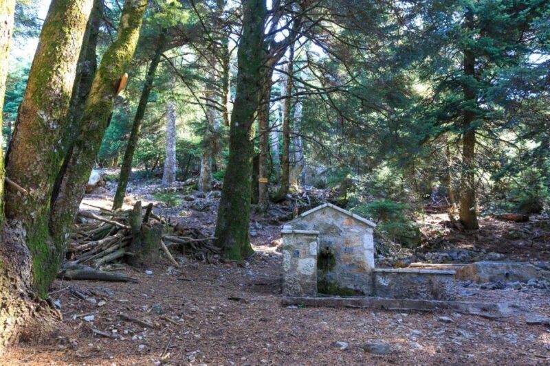 Parnitha (Parnis) / Skipiza & Mola loop - Hike near Athens - FAQ
