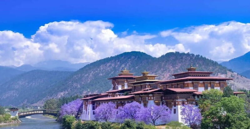 Paro: Culture and Nature 4-Day Guided Tour - Key Points