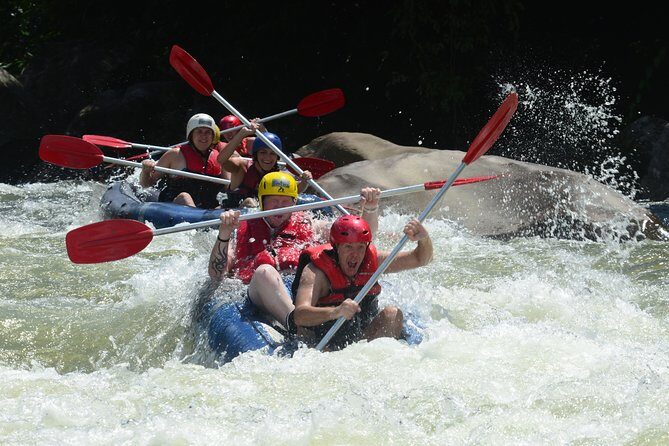 Paronella Park Admission Ticket - Who Will Love Paronella Park?