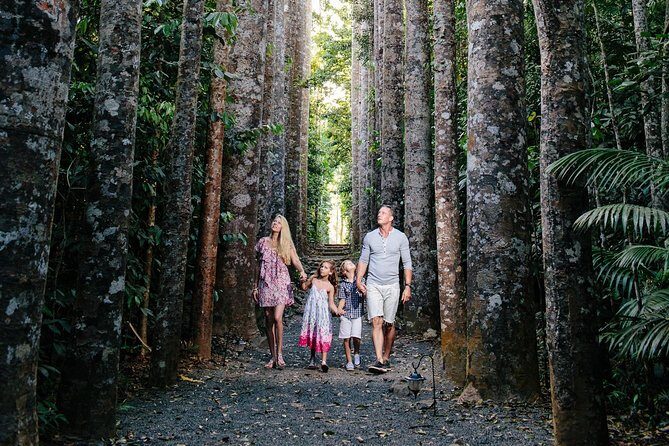 Paronella Park and Millaa Millaa Falls Full-day Tour from Cairns - An Adventure through Tropical North Queensland: Paronella Park & Millaa Millaa Falls