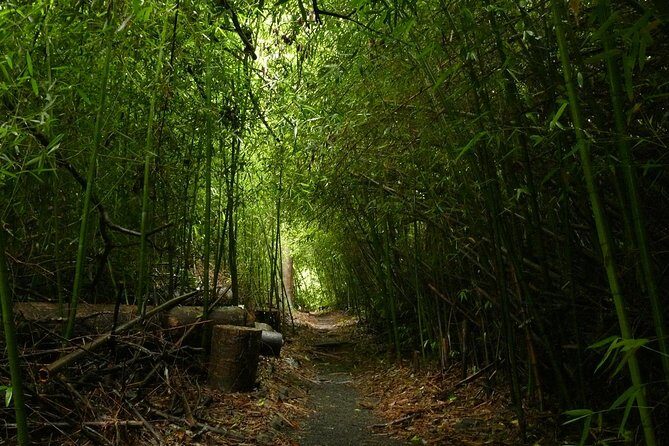 Paronella Park and Millaa Millaa Falls Full-day Tour from Cairns - Considerations Before Booking