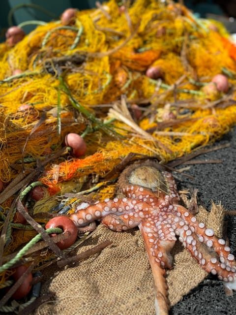 Paros: Highlights Tour with Fishing & Tasting in Naoussa - Final Thoughts