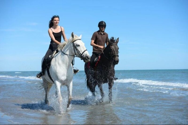 Paros: Morning Island Horseback Riding Adventure - Paros: Morning Island Horseback Riding Adventure — A Genuine Slice of Greek Countryside