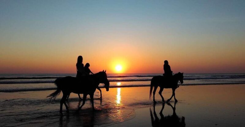 Paros: Morning Island Horseback Riding Adventure - Key Points