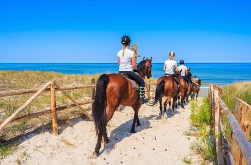 Paros: Morning Island Horseback Riding Adventure - Why Choose This Tour?