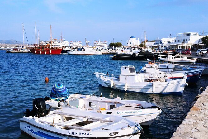 Paros private tour exploring the beaches - Key Points